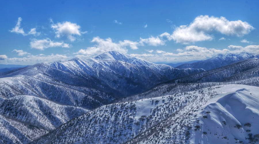 Quels sont les choix de véhicules les plus populaires à Hotham Heights?